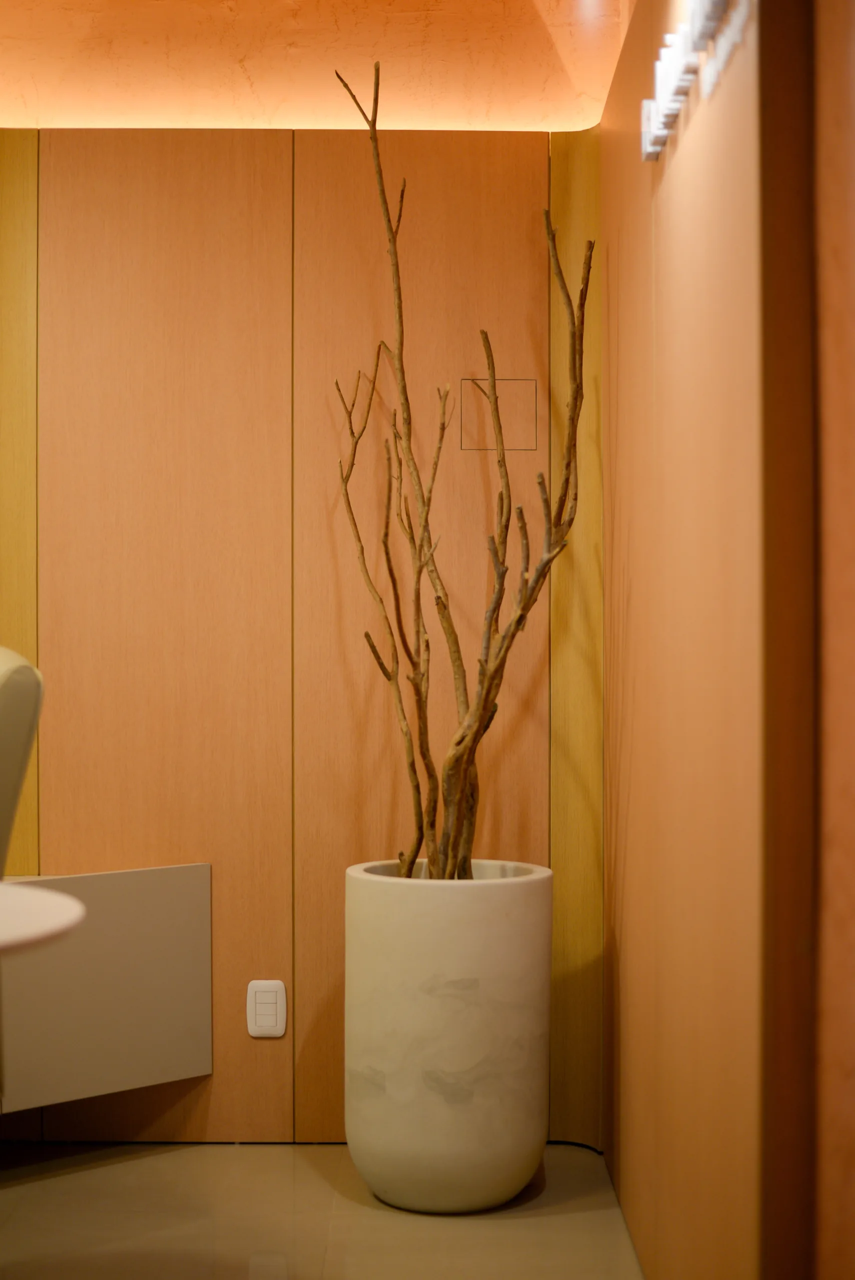 Consultório Adriana Pandolfo — render 30